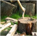 Bild eines Hackebeils vor einem Haufen mit Holzstümpfen